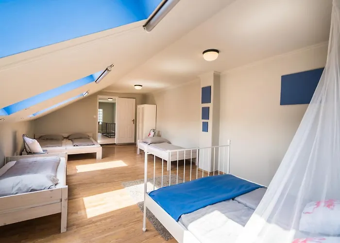 Helka Haz シオーフォク